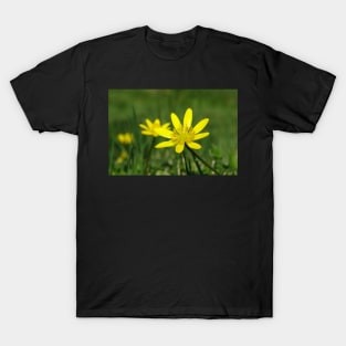 Lesser Celandine on the level T-Shirt